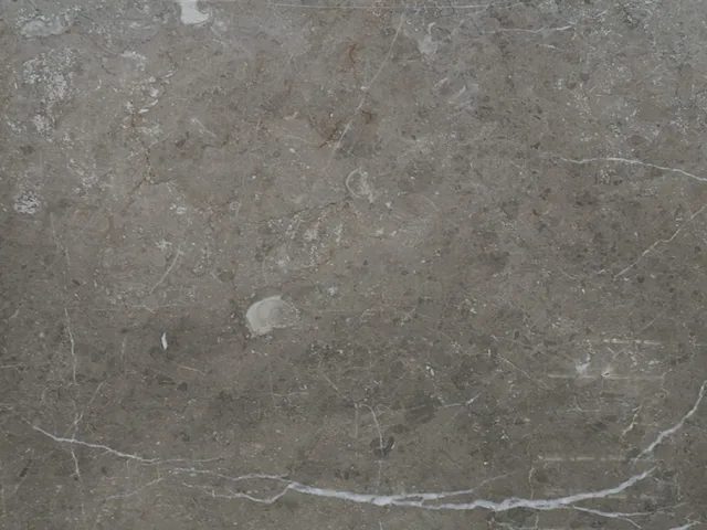 Savana Grey